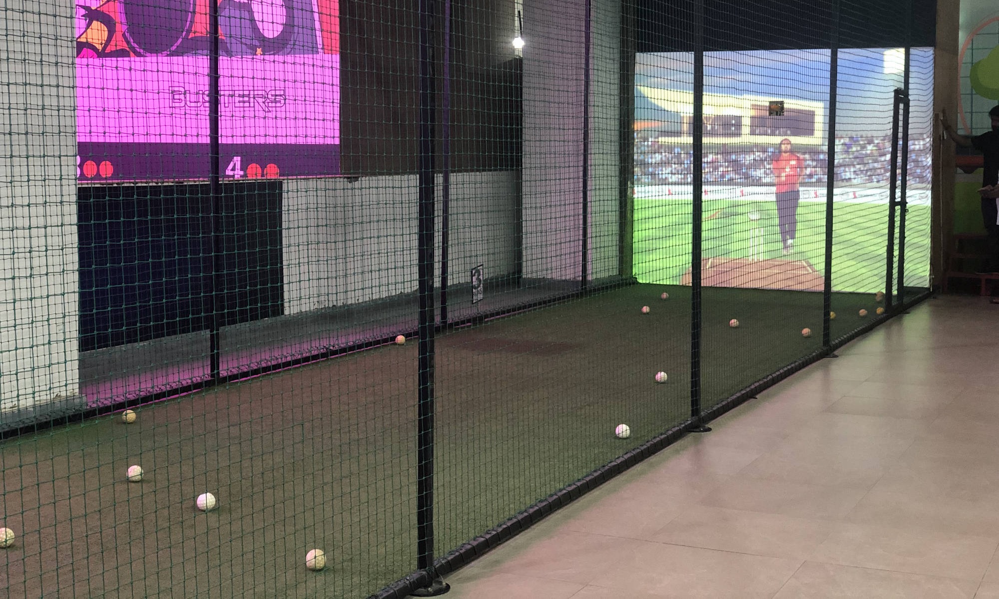 cricket simulator in the world