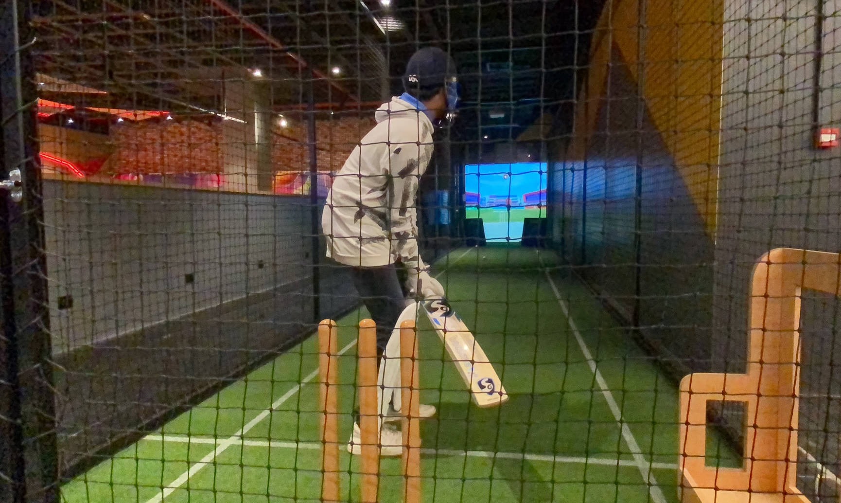 best cricket simulator